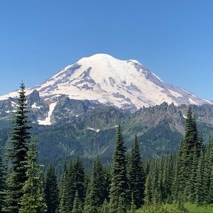 Meet your Posher, Ricky